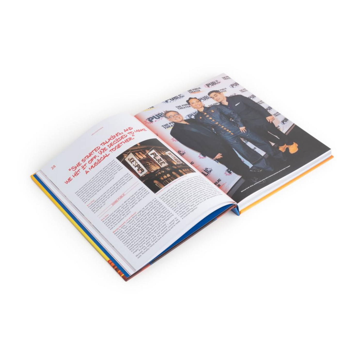 HELL'S KITCHEN: BEHIND THE DREAM BOOK