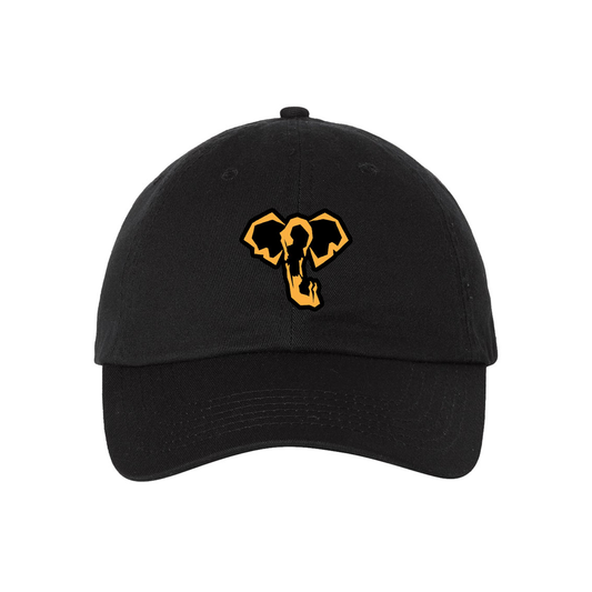 WATER FOR ELEPHANTS Logo Cap